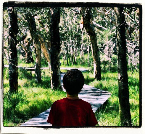 Yarrawarra Aboriginal Cultural Centre